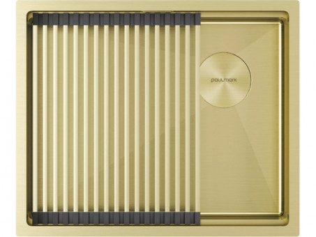 Мойка Paulmark Next-pro 54 uni PM705445-LG, светлое золото