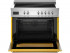 Варочный центр Bertazzoni PRO95I1EGIT2
